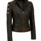 WLJ11 Women's Café Racer Star Slim Fit Stars Distressed Brown Classic Biker Leather Jacket
